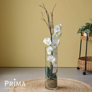 yzӒ KXV_[  t[AWg | PRIMA tFCNt[ CeA t[Mtg A[gt[ JXj JƏj AW v[g AW