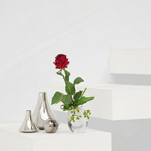 yzԃo GXg  t[AWg | PRIMA tFCNt[ CeA t[Mtg A[gt[ JXj JƏj AW v[g AWg 