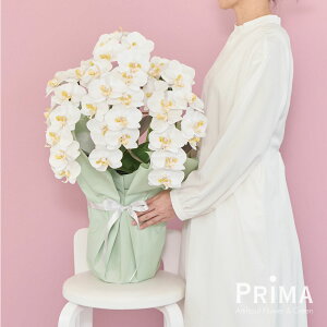 【公式】胡蝶蘭 3本立ち プラージュ 造花 フラワーアレンジメント | PRIMA フェイクフラワー インテリア フラワーギフト アートフラワー 開店祝い 開業祝い アレンジ プレゼント アレンジメン