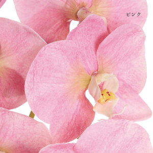 yzӒ 1{ sN s[`  t[AWg | PRIMA tFCNt[ CeA t[Mtg A[gt[ JXj JƏj AW v[g AW