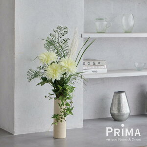 yzy30%OFFz _A A[ZEGA  t[AWg  PRIMA tFCNt[ CeA t[Mtg A[gt[ JXj JƏj AW v[g A