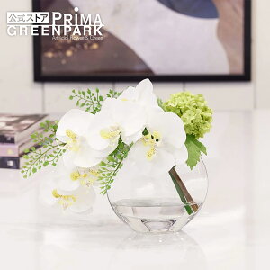 yzӒ×Xm[{[ EH[^[M  t[AWg | PRIMA tFCNt[ CeA t[Mtg A[gt[ JXj JƏj AW v[g A