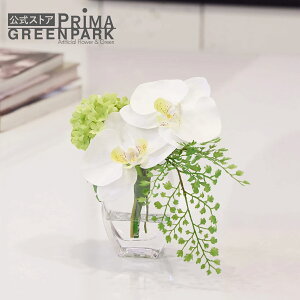 yzӒ×Xm[{[ EH[^[S  t[AWg | PRIMA tFCNt[ CeA t[Mtg A[gt[ JXj JƏj AW v[g A