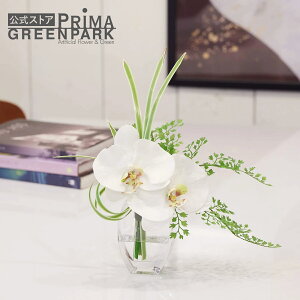 yzӒ×hZi EH[^[S  t[AWg | PRIMA tFCNt[ CeA t[Mtg A[gt[ JXj JƏj AW v[g AW