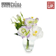 【ポイントUP】【公式】供花 仏花 胡蝶蘭×トルコキキョウ ウォーター 供花 造花 フラワーアレンジメント…
