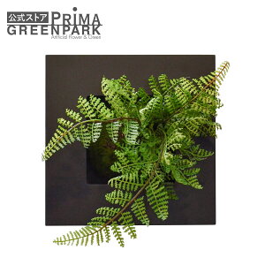 yzVmu EH[fR CUPBON ~ tFCNO[ | PRIMA tFCN~ Ǌ| ϗtA lH A tFCN O[ C~e[V CeAO[   a 