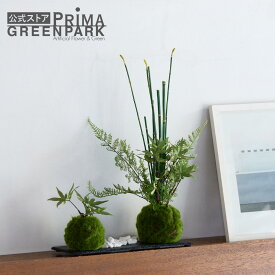 【公式】モミジ 寄せ植え苔玉 黒岩皿 CUPBON 盆栽 フェイクグリーン | PRIMA フェイク盆栽 観葉植物 人工 小さい リアル フェイク グリーン イミテーション インテリアグリーン おすすめ おしゃれ 和室 和風 和モダン
