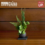【ポイントUP】【公式】トクサ 寄せ植え 檜炭ボール(黒皿) CUPBON 盆栽 フェイクグリーン | PRIMA 人工 …