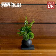 【ポイントUP】【公式】桜の葉 寄せ植え 檜炭ボール(黒皿) CUPBON 盆栽 フェイクグリーン | PRIMA 人工 …