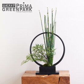 【公式】モミジ 寄せ植え盆栽 リングベースS CUPBON 盆栽 フェイクグリーン | PRIMA フェイク盆栽 観葉植物 人工 リアル フェイク グリーン イミテーション インテリアグリーン おすすめ おしゃれ 和室 和風 和モダン