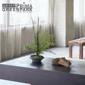 【公式】モミジ 寄せ植え盆栽 平皿 小 CUPBON 盆栽 フェイクグリーン | PRIMA フェイク盆栽 観葉植物 人工 リアル フェイク グリーン イミテーション インテリアグリーン おすすめ おしゃれ 和室 和風 和モダン