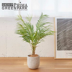 yzAJV IxX|bg H80cm ϗtA tFCNO[ | GREENPARK lHϗtA   A C~e[V CeAO[ A[gO[ Mtg v[g 