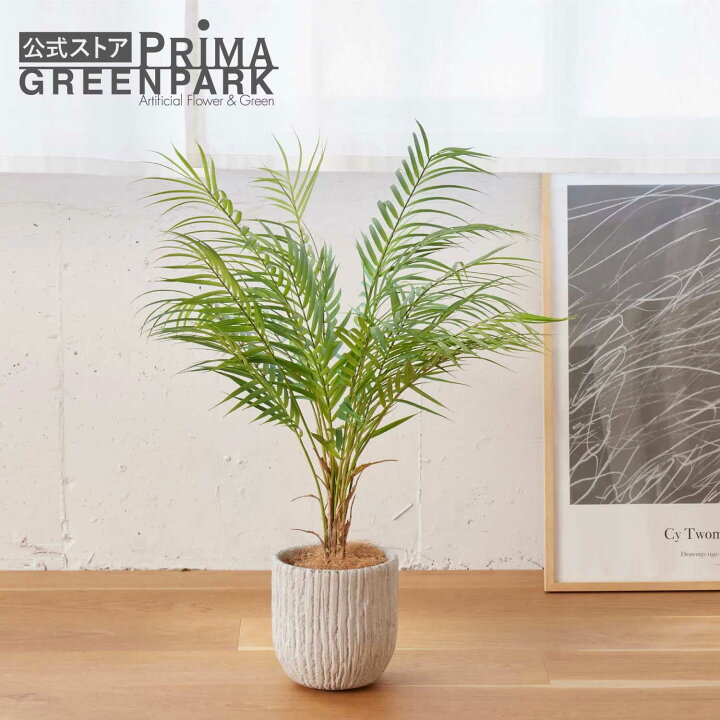 楽天市場】【公式】アレカヤシ オベリスポット H80cm 観葉植物 