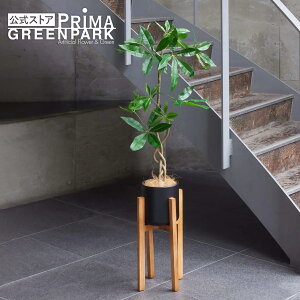 yzcCXgpL EbhX^h H125cm ϗtA tFCNO[ eco | GREENPARK lHϗtA   A C~e[V CeAO[ A[gO[ Mtg v