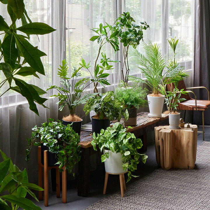 光触媒 人工観葉植物 フェイクグリーン グリーンスタンドアイビー1.1m 狂え
