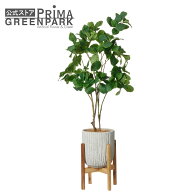 【公式】マグノリア オベリスポット 脚付 H113cm 観葉植物 フェイクグリーン | GREENPARK 人工観葉植物 …
