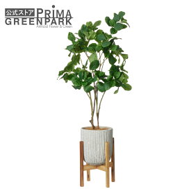 楽天市場】 フェイクグリーン > 植物で選ぶ > マグノリアリーフ 