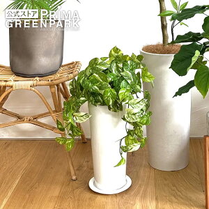 y|CgUPzyz|gX Xv^[ H53cm ϗtA tFCNO[ | GREENPARK lHϗtA   A C~e[V CeAO[ A[gO[ Mtg 