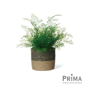 yzAWA^ W[g|bg H52cm ϗtA tFCNO[ | GREENPARK lHϗtA   A C~e[V CeAO[ A[gO[ Mtg v[g 