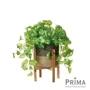 yz|gX W[g|bg rt H50cm ϗtA tFCNO[ | GREENPARK lHϗtA   A C~e[V CeAO[ A[gO[ Mtg v[g 