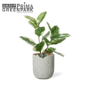 yzS̖ IxX|bg H58cm ϗtA tFCNO[ eco | GREENPARK lHϗtA   A C~e[V CeAO[ A[gO[ Mtg v[g 
