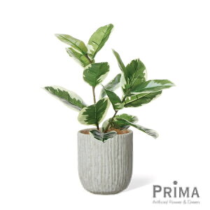 y|CgUPzyzS̖ IxX|bg H58cm ϗtA tFCNO[ eco | GREENPARK lHϗtA   A C~e[V CeAO[ A[gO[ Mt
