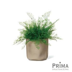 yzAWA^ U[|bg H55cm ϗtA tFCNO[ | GREENPARK lHϗtA   A C~e[V CeAO[ A[gO[ Mtg v[g 