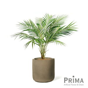 yzAJV U[|bg H80cm ϗtA tFCNO[ | GREENPARK lHϗtA   A C~e[V CeAO[ A[gO[ Mtg v[g j