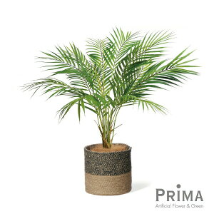 yzAJV W[g|bg H77cm ϗtA tFCNO[ | GREENPARK lHϗtA   A C~e[V CeAO[ A[gO[ Mtg v[g 