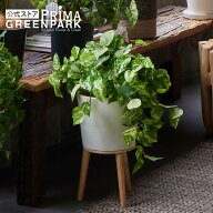 【公式】ポトス エルナ H60cm 観葉植物 フェイクグリーン | GREENPARK 人工観葉植物 造花 おしゃれ リア…