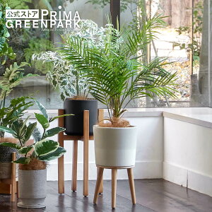 yzAJV Gi H100cm ϗtA tFCNO[ | GREENPARK lHϗtA   A C~e[V CeAO[ A[gO[ Mtg v[g j