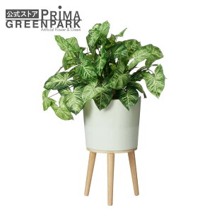 y|CgUPzyzJWE Gi H68cm ϗtA tFCNO[ | GREENPARK lHϗtA   A C~e[V CeAO[ A[gO[ Mtg v[