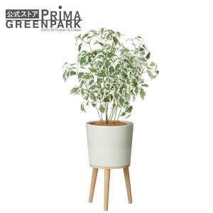 yzxW~ Gi H85cm ϗtA tFCNO[ | GREENPARK lHϗtA   A C~e[V CeAO[ A[gO[ Mtg v[g j