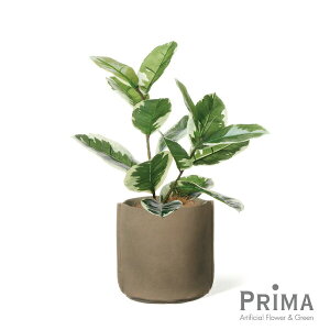 yzS̖ U[|bg H60cm ϗtA tFCNO[ eco | GREENPARK lHϗtA   A C~e[V CeAO[ A[gO[ Mtg v[g 