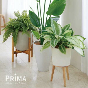 yzfBtFoLA Gi H70cm ϗtA tFCNO[ eco | GREENPARK lHϗtA   A C~e[V CeAO[ A[gO[ Mtg v[g 