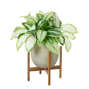 yzfBtFoLA GbO|bgrt H74cm ϗtA tFCNO[ eco | GREENPARK lHϗtA   A C~e[V CeAO[ A[gO[ Mtg v