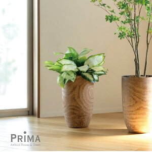 yzfBtFoLA Ebhv^[ H74cm ϗtA tFCNO[ eco | GREENPARK lHϗtA   A C~e[V CeAO[ A[gO[ Mtg v