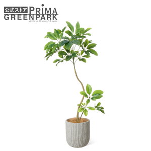 yzVFtS IxX|bg H92cm ϗtA tFCNO[ eco | GREENPARK lHϗtA   A C~e[V CeAO[ A[gO[ Mtg v[