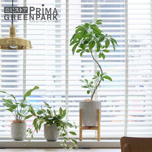 yzVFtS IxX|bgrt H105cm ϗtA tFCNO[ eco | GREENPARK lHϗtA   A C~e[V CeAO[ A[gO[ Mtg v