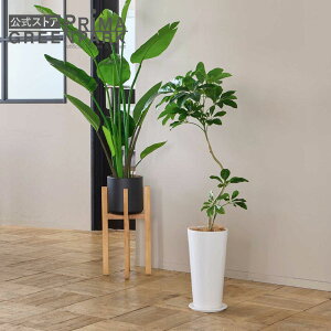 yzVFtS Xv^[ H110cm ϗtA tFCNO[ eco | GREENPARK lHϗtA   A C~e[V CeAO[ A[gO[ Mtg v[