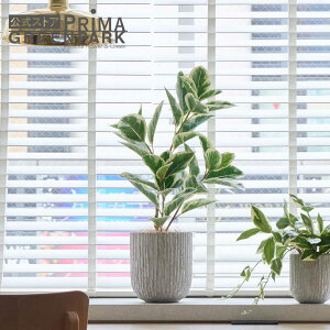 y|CgUPzyztBJX IxX|bg H65cm ϗtA tFCNO[ | GREENPARK lHϗtA   A C~e[V CeAO[ A[gO[ Mtg 