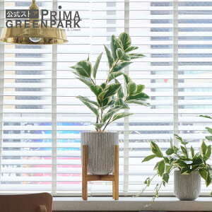 yztBJX IxX|bg rt H78cm ϗtA tFCNO[ | GREENPARK lHϗtA   A C~e[V CeAO[ A[gO[ Mtg v[g