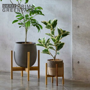 y|CgUPzyztBJX W[g|bg rt H75cm ϗtA tFCNO[ | GREENPARK lHϗtA   A C~e[V CeAO[ A[gO[ M
