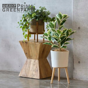 yztBJX Gi H90cm ϗtA tFCNO[ | GREENPARK lHϗtA   A C~e[V CeAO[ A[gO[ Mtg v[g j