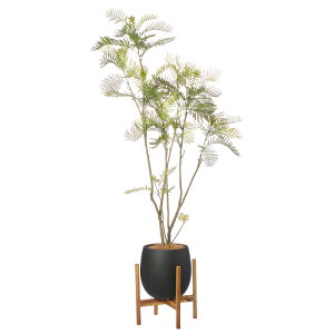 yzGo[tbV GbO|bgrt H170cm yʑqɒiz | GREENPARK lHϗtA   A C~e[V CeAO[ A[gO[