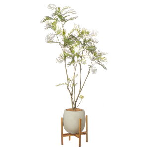 y|CgUPzyzGo[tbV GbO|bgrt H170cm yʑqɒiz | GREENPARK lHϗtA   A C~e[V CeAO[ A[gO[