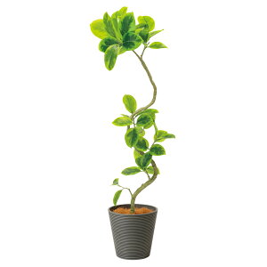 yztBJXAeV}  GWv^[ H142cm ϗtA tFCNO[ eco yʑqɒiz | GREENPARK lHϗtA   A C~e[V CeAO[ A