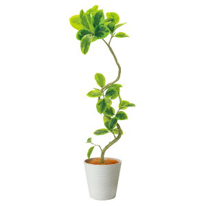 yztBJXAeV}  GWv^[ H142cm ϗtA tFCNO[ eco yʑqɒiz | GREENPARK lHϗtA   A C~e[V CeAO[ A