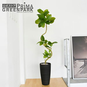 y|CgUPzyztBJXAeV} TPv^[ H150cm ϗtA tFCNO[ eco yʑqɒiz | GREENPARK lHϗtA   A C~e[V CeAO