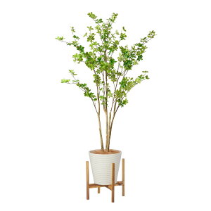 yzhE_ccW GWv^[rt H180cm ϗtA tFCNO[ yʑqɒiz | GREENPARK lHϗtA   A C~e[V CeAO[ A[gO